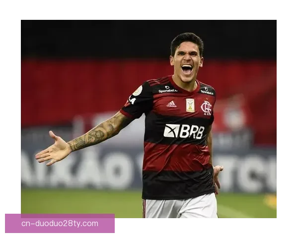 佩德罗谢博洛尼亚掌声伤无大碍